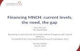 Financing MNCH: current levels, the need, the gap