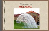 Welcome to MÖLNDAL