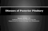 Diseases of Posterior Pituitary