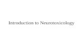 Introduction to Neurotoxicology