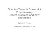 Species Trees & Constraint Programming: recent progress and new challenges