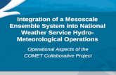 Operational Aspects of the COMET Collaborative Project