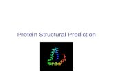 Protein Structural Prediction