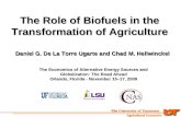 The Role of Biofuels in the Transformation of Agriculture
