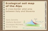 Ecological soil map of the Alps A cross-border pilot area  between Italy and Slovenia