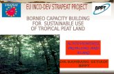 BORNEO CAPACITY BUILDING  FOR  SUSTAINABLE USE  OF TROPICAL PEAT LAND