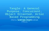 Tangle: A General Purpose, Concurrent, Object Oriented, Actor Based Programming Language