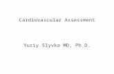 Cardiovascular Assessment