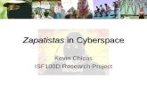 Zapatistas  in Cyberspace