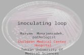 inoculating loop