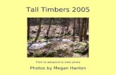 Tall Timbers 2005