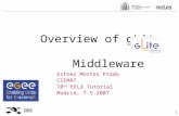 Overview of gLite                Middleware