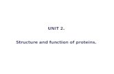 UNIT 2.  Structure and  function  of proteins.