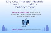 Dry Cow Therapy, Mastitis and            Milk - Enhancement