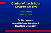 Control of the Estrous Cycle of the Ewe