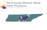 Tennessee Master Meat Goat Producer