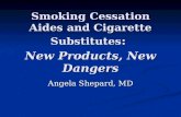 Smoking Cessation Aides and Cigarette Substitutes : New Products, New Dangers