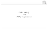 MHC binding  and MHC polymorphism