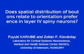 Does spatial distribution of boutons relate to orientation preference in layer IV spiny neurons?