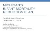 Michigan's  Infant Mortality  Reduction Plan