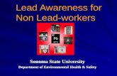 Lead Awareness for Non Lead-workers