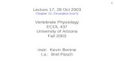 Lecture 17, 28 Oct 2003 Chapter 12, Circulation (con’t) Vertebrate Physiology ECOL 437