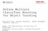 Online Multiple Classifier Boosting  for Object Tracking