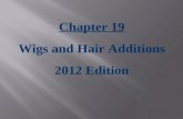 Chapter 19 Wigs and Hair Additions 2012 Edition