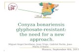 Conyza bonariensis  glyphosate-resistant:  the need for a new approach.