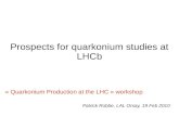 Prospects for quarkonium studies at LHCb