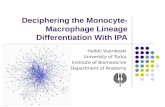 Deciphering the Monocyte-Macrophage Lineage Differentiation With IPA
