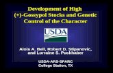 Development of High  (+)-Gossypol Stocks and Genetic Control of the Character