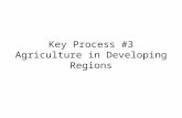 Key Process #3 Agriculture in Developing Regions