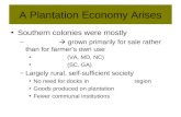 A Plantation Economy Arises