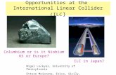 Opportunities at the  International Linear Collider (ILC )