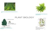 PLANT BIOLOGY
