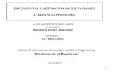 EXPERIMENTAL INVESTIGATION ON SOOTY FLAMES  AT ELAVATED PRESSURES