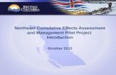 Northeast Cumulative Effects Assessment and Management Pilot Project  Introduction October  2013