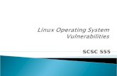 Linux Operating System Vulnerabilities