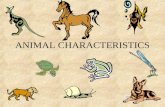 ANIMAL CHARACTERISTICS