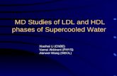 MD Studies of LDL and HDL phases of Supercooled Water