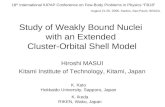 Study of Weakly Bound Nuclei  with an Extended  Cluster-Orbital Shell Model