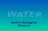 Earth’s Biological Medium
