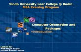 Sindh University Laar College @ Badin MBA Evening Program