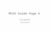 MCAS Guide Page 6