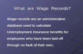 What  are  Wage  Records?
