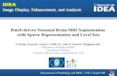 Patch-driven Neonatal Brain MRI Segmentation  with Sparse Representation and Level Sets
