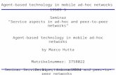 19589 S Seminar "Service aspects in ad-hoc and peer-to-peer networks“