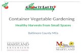 Container vegetable Gardening