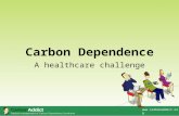 Carbon Dependence